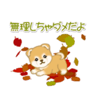 赤ちゃん豆柴の秋（個別スタンプ：16）