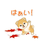赤ちゃん豆柴の秋（個別スタンプ：17）