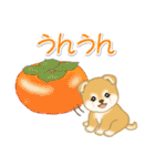 赤ちゃん豆柴の秋（個別スタンプ：20）