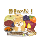 赤ちゃん豆柴の秋（個別スタンプ：21）
