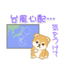 赤ちゃん豆柴の秋（個別スタンプ：24）