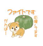 赤ちゃん豆柴の秋（個別スタンプ：29）