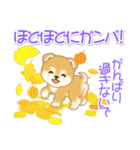赤ちゃん豆柴の秋（個別スタンプ：30）