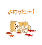 赤ちゃん豆柴の秋（個別スタンプ：33）
