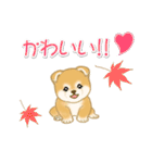 赤ちゃん豆柴の秋（個別スタンプ：35）