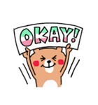 くまさんのLINEスタンプの日（個別スタンプ：17）