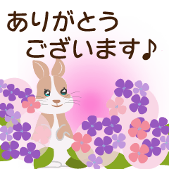 [LINEスタンプ] 花いっぱいのウサギとネコ、大人きれい挨拶