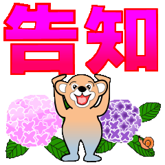 [LINEスタンプ] 指南役くーさん