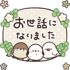 [LINEスタンプ] 動く！まるいやつらとトリさん⭐︎敬語