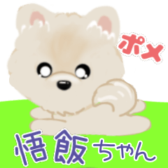 [LINEスタンプ] かわいい悟飯ちゃん