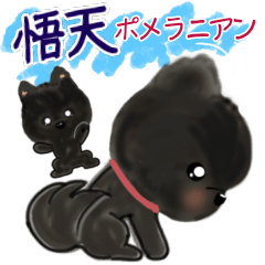[LINEスタンプ] かわいい悟天ちゃん