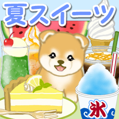 [LINEスタンプ] 赤ちゃん豆柴と夏スイーツ