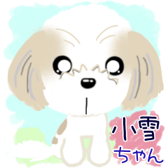 [LINEスタンプ] シーズー小雪ちゃん