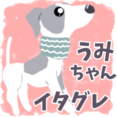 [LINEスタンプ] イタグレ うみちゃん