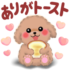 [LINEスタンプ] かわいいトイプードル☆だじゃれスタンプ