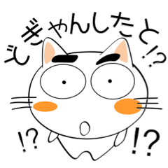 [LINEスタンプ] 九州のことば★しろネコ