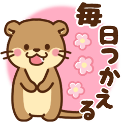 [LINEスタンプ] コツメカワウソ♡毎日使える言葉