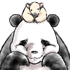 [LINEスタンプ] かわいいやつら～パンダとコアリクイ～