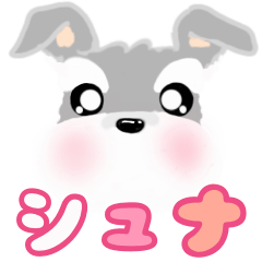 [LINEスタンプ] ふんわり癒されシュナウザー(シンプル)