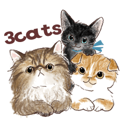 [LINEスタンプ] 毎日使える3匹の猫たちのスタンプの画像（メイン）