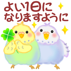 [LINEスタンプ] 毎日使える仲良しインコさん2