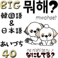 [LINEスタンプ] 【Big】シーズー40『韓国語＆日本語』相槌の画像（メイン）