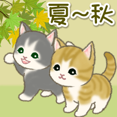 [LINEスタンプ] 夏～秋 もこもこ猫ちゃんズ