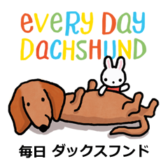 [LINEスタンプ] 毎日使えるダックスフンドとウサギちゃん