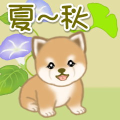 [LINEスタンプ] 夏～秋 よちよち豆柴