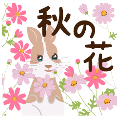 [LINEスタンプ] 秋の毎日花いっぱいウサギとネコ