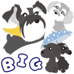 [LINEスタンプ] BIG シュナって最高