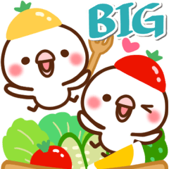 [LINEスタンプ] 毎日しろちゃん19♥BIG