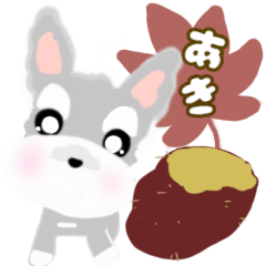 [LINEスタンプ] ふんわり癒されシュナウザー(秋の気分)