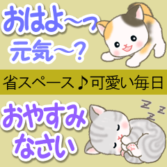 [LINEスタンプ] ベビーにゃんこ 省スペース♪可愛い毎日