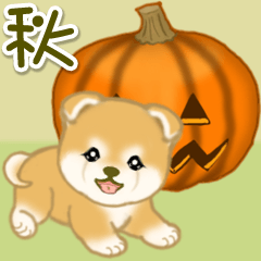[LINEスタンプ] 赤ちゃん豆柴の秋