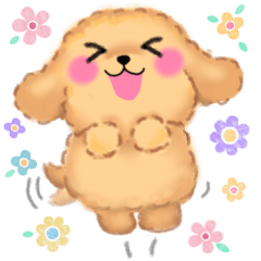 [LINEスタンプ] 毎日使える❤️かわいいトイプードル